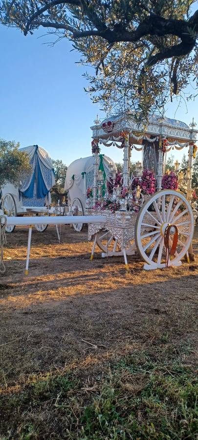 Estampas de la hermandad de Coria del Río en su segundo día de camino hacia El Rocío