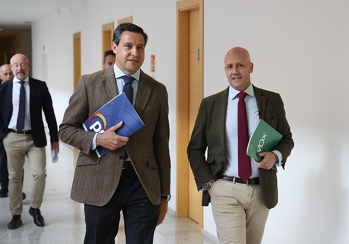 El portavoz del PP en las Cortes, Raúl de la Hoz, y el de Vox, Carlos Menéndez, tras registrar la proposición de ley en las Cortes