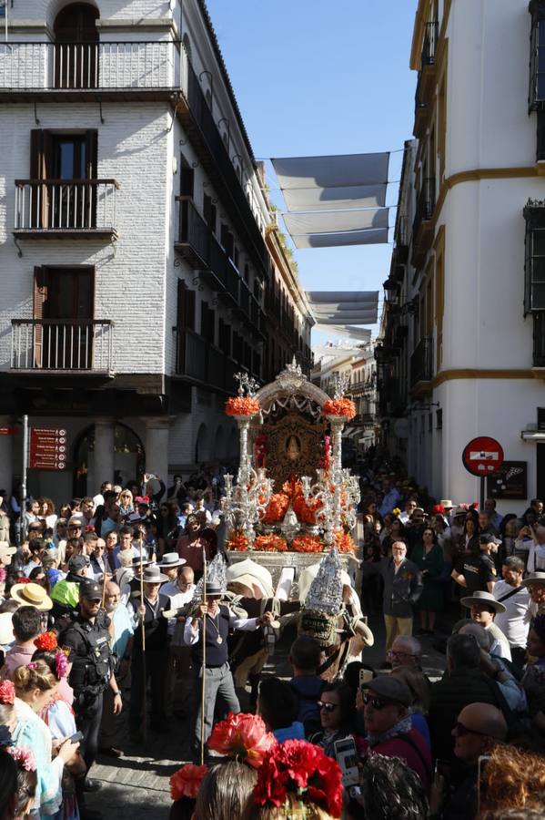 Salida de la Hermandad de Sevilla-El Salvador en su peregrinación a la Aldea del Rocío