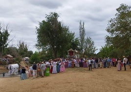 Varios lesionados tras un movimiento brusco de los bueyes del Simpecado de Mairena del Alcor en el Vado del Quema