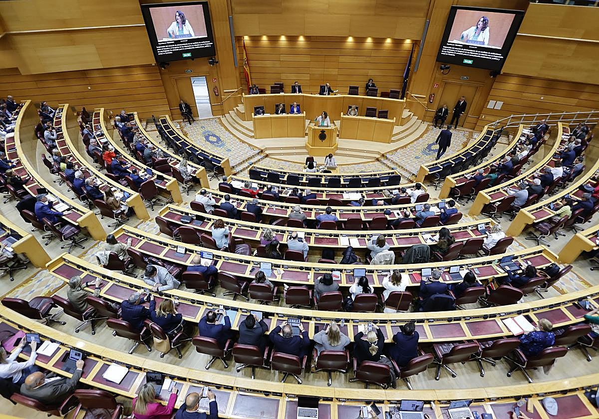 El pleno del Senado, durante la sesión extraordinaria para suspender el choque institucional