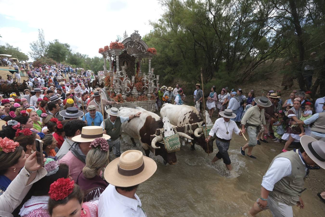El Simpecado de la Hermandad del Rocío de Sevilla pasa el vado del Quema camino a Almonte 