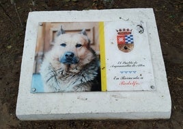 La placa en Argamasilla de Alba que recuerda a Rodolfo, el perro devoto de la Virgen de Peñarroya