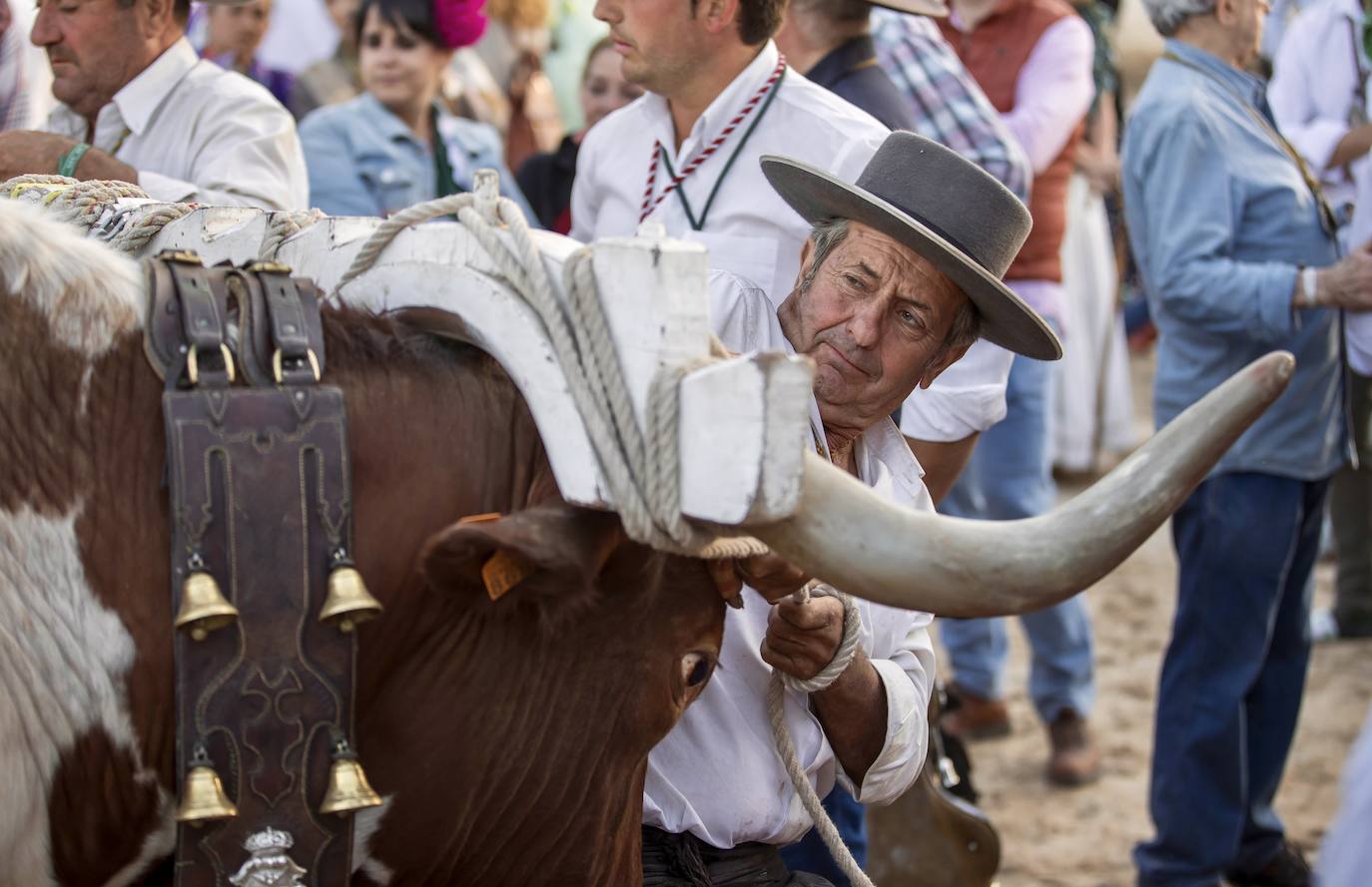 La presentación de las hermandades filiales ante la Blanca Paloma en el Rocío 2024