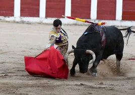 Tomás Rufo, un 'Gallo' de pelea en el corral de Talavera de la Reina