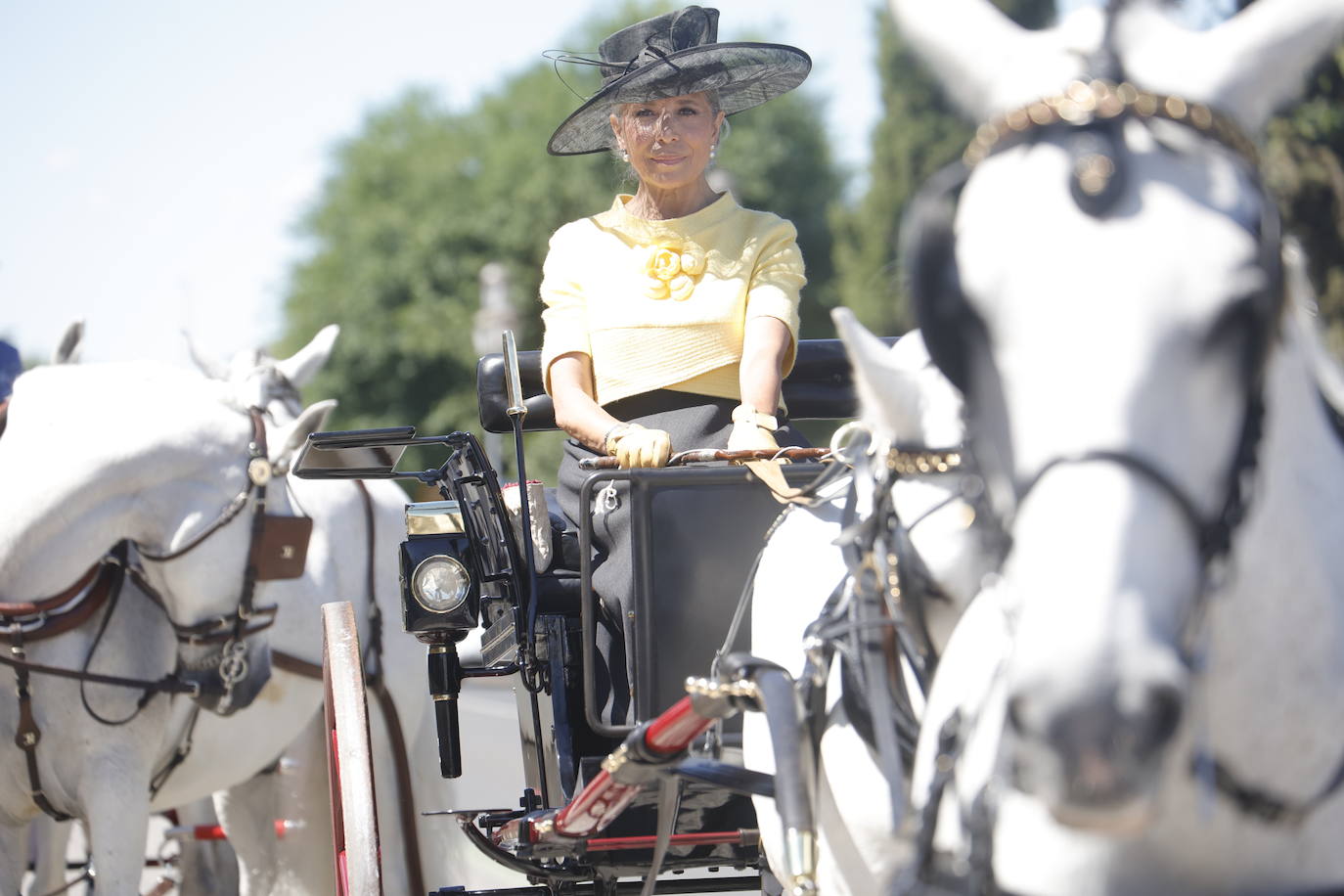 Fotos: la bella exhibición de carruajes de tradición en la Feria de Córdoba