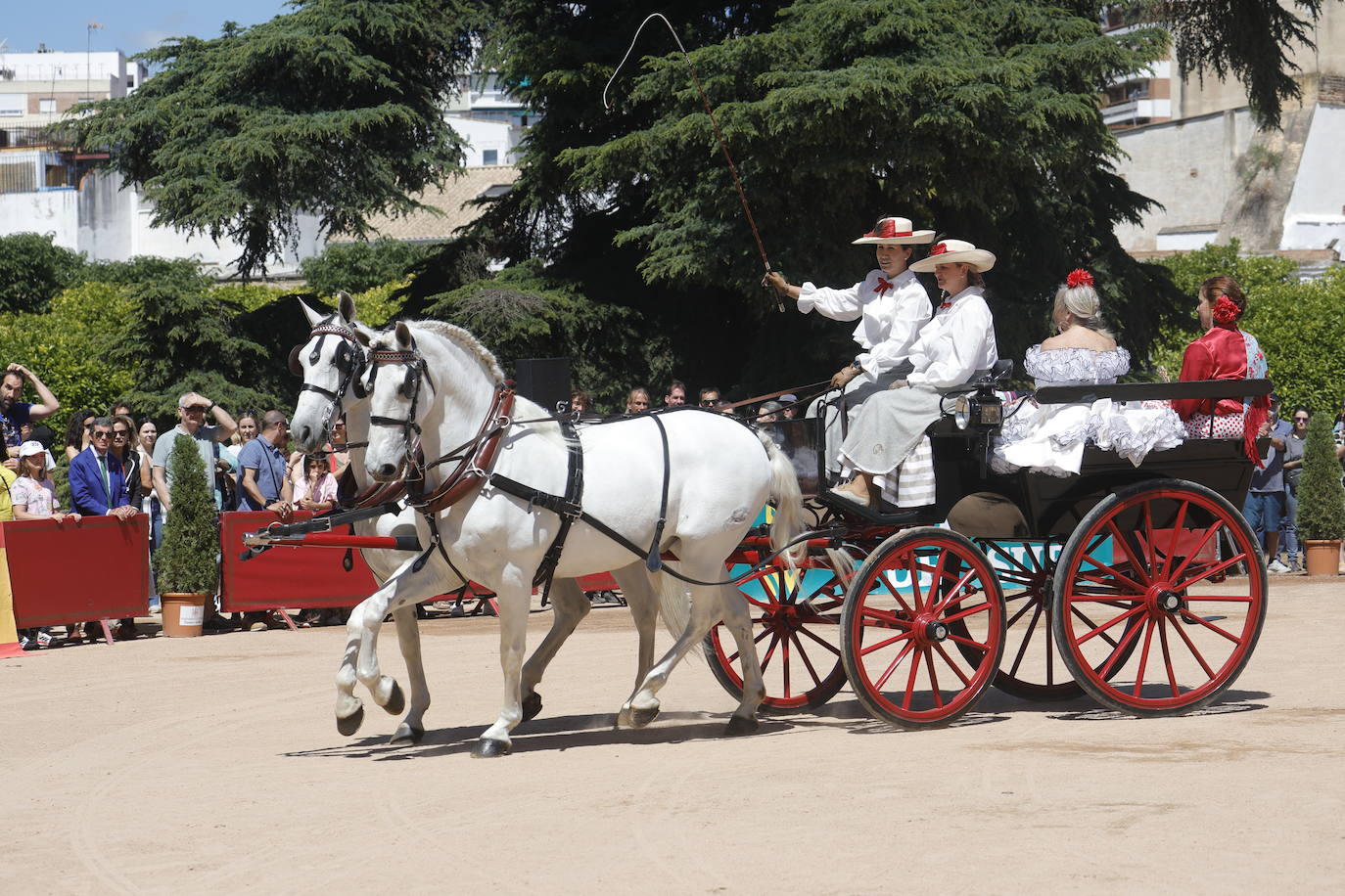 Fotos: la bella exhibición de carruajes de tradición en la Feria de Córdoba