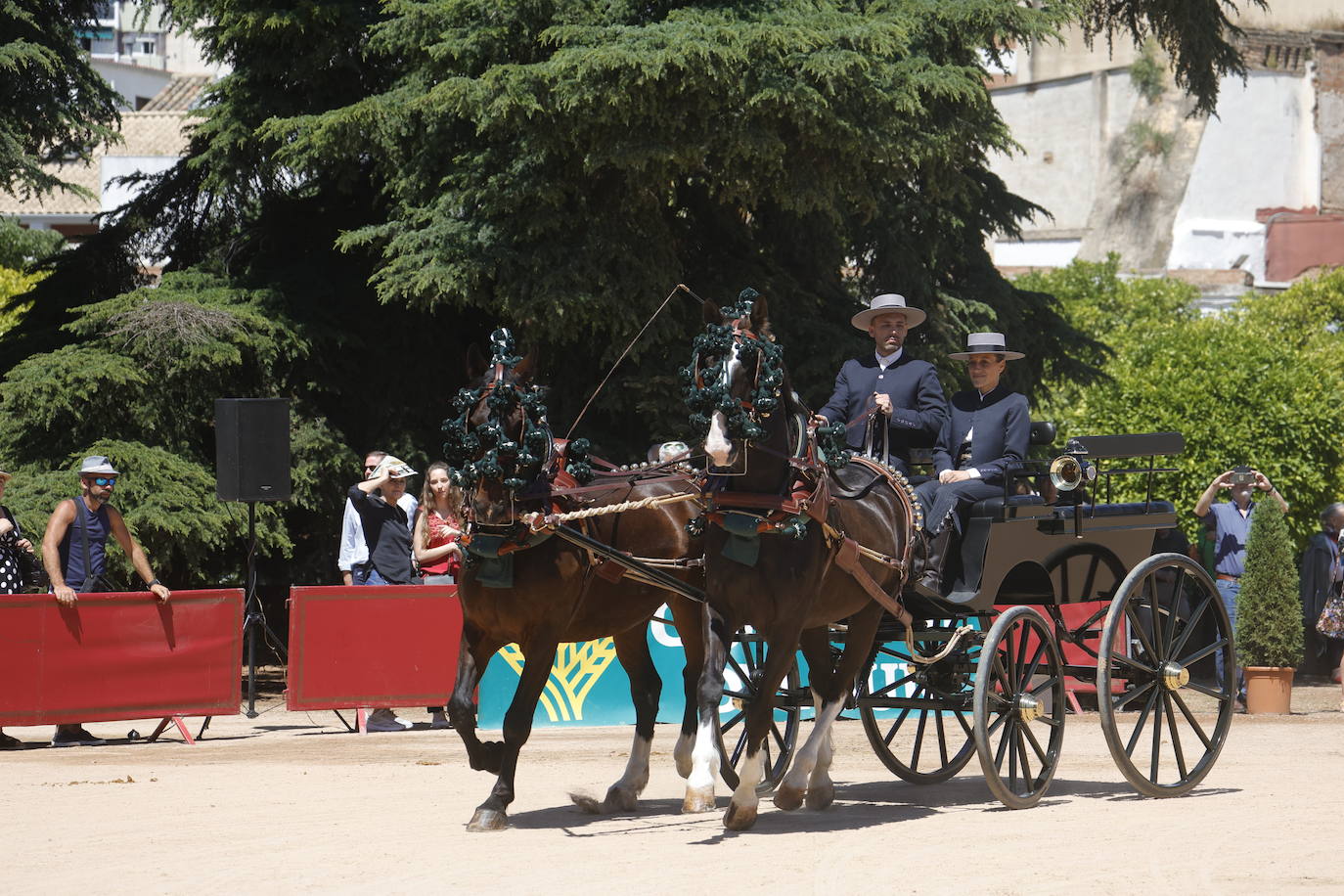 Fotos: la bella exhibición de carruajes de tradición en la Feria de Córdoba