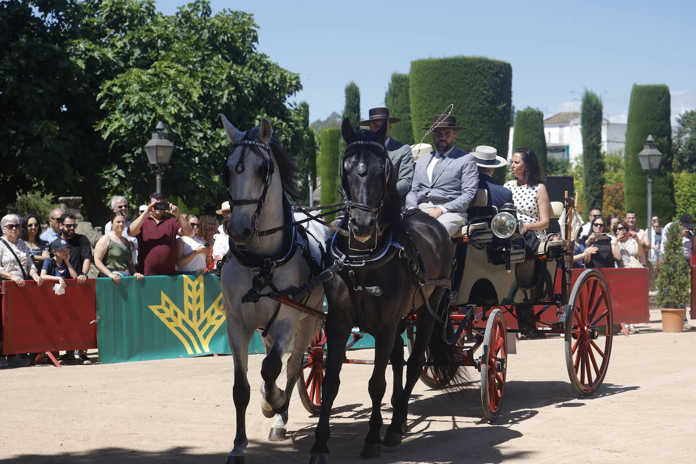 Fotos: la bella exhibición de carruajes de tradición en la Feria de Córdoba