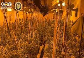 Tres años y medio de cárcel para cuatro chinos pillados con el mayor alijo de marihuana incautado en Gijón