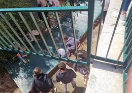 Heridos catorce alumnos de un instituto de Ponferrada al desprenderse una escalera metálica