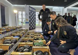 El delegado del Gobierno en Galicia, Pedro Blanco, examina en la comisaría de Vigo los melones que escondían la cocaína