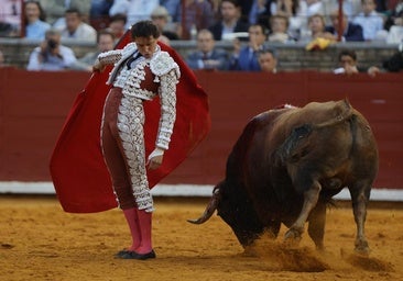 Freno en la proyección de la Feria taurina de Córdoba