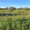 El proyecto de tierras raras de Quantum Minería irá a los tribunales si el Gobierno regional lo autoriza