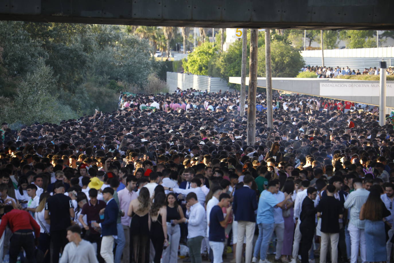 Fotos: diez mil jóvenes, en el botellón de la Feria de Córdoba