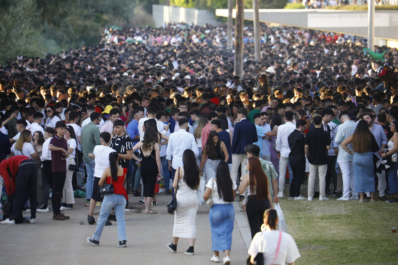 Fotos: diez mil jóvenes, en el botellón de la Feria de Córdoba