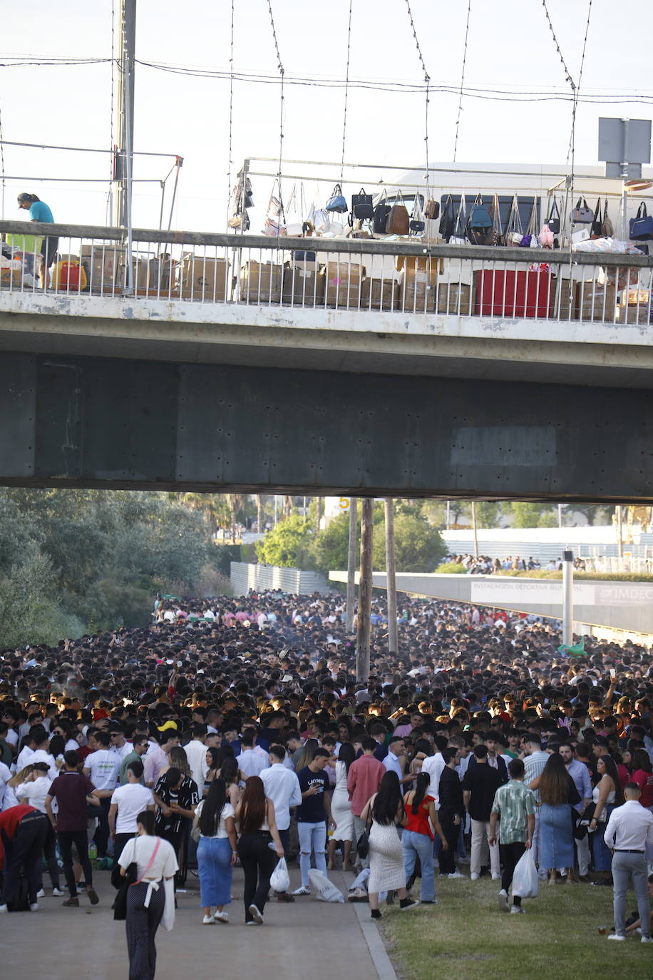 Fotos: diez mil jóvenes, en el botellón de la Feria de Córdoba