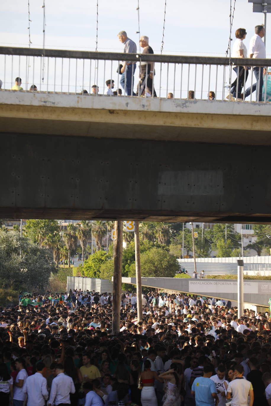 Fotos: diez mil jóvenes, en el botellón de la Feria de Córdoba