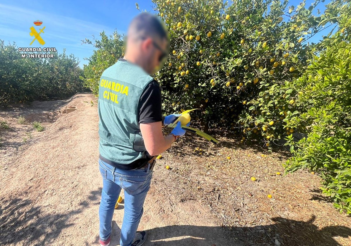 Imagen de un agente de la Guardia Civil con un limón