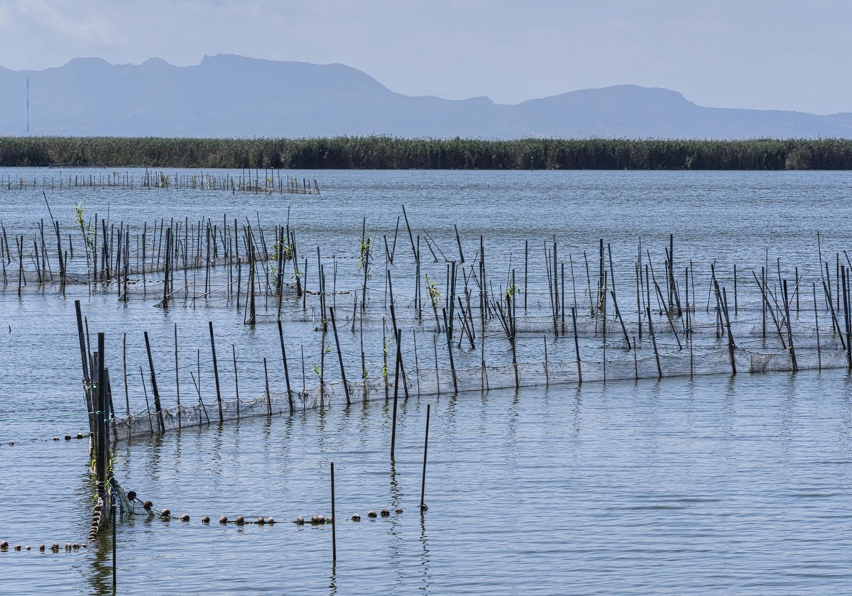 Imagen de archivo de la Albufera de Valencia