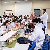 La Universidad de Salamanca, en el 'top 10' de las mejores para estudiar Medicina