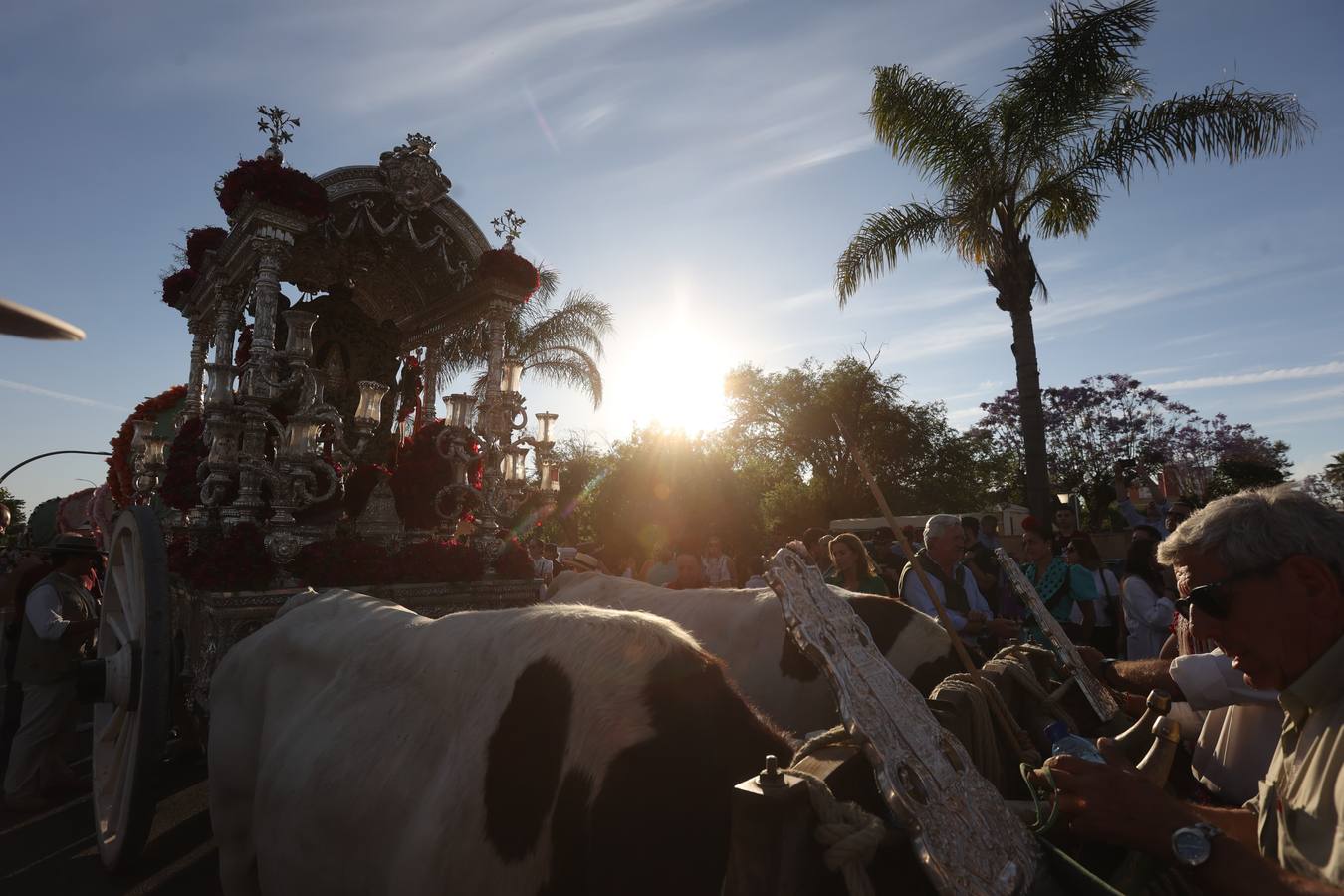 La hermandad del Rocío del Salvador llevó la alegría a las calles de Sevilla por las que fue pasando