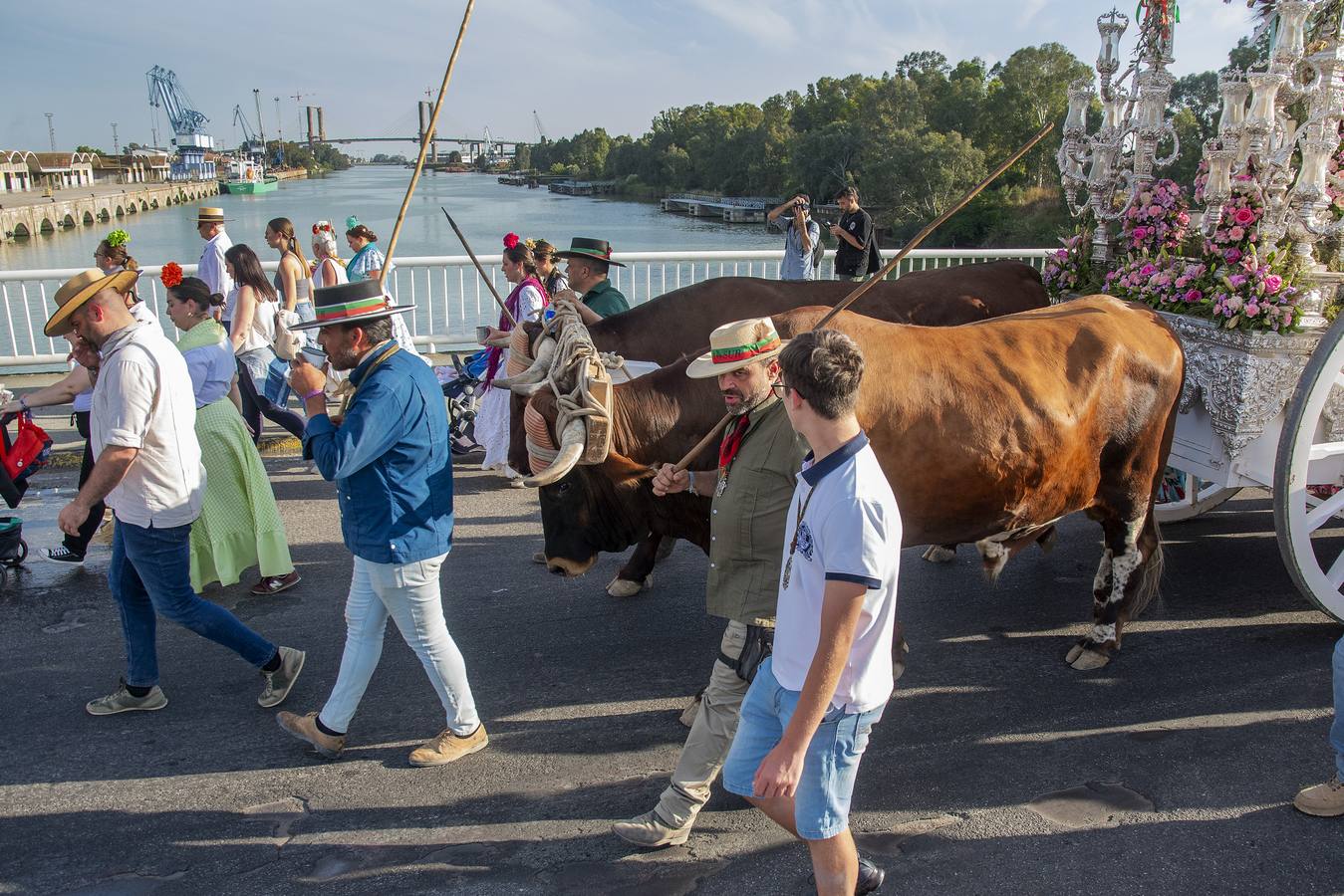 La hermandad del Rocío de Sevilla Sur durante su llegada a Sevilla