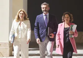 La consejera de Economía, Carolina España, el portavoz del Gobierno, Ramón Fernández-Pacheco, y la consejera de Salud, Catalina García