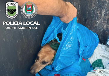 Investigan a una mujer que tiró un perro al contenedor en una bolsa de basura cerrada