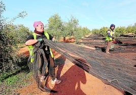 Bajan los perceptores de los subsidios agrarios al reducirse los trabajadores