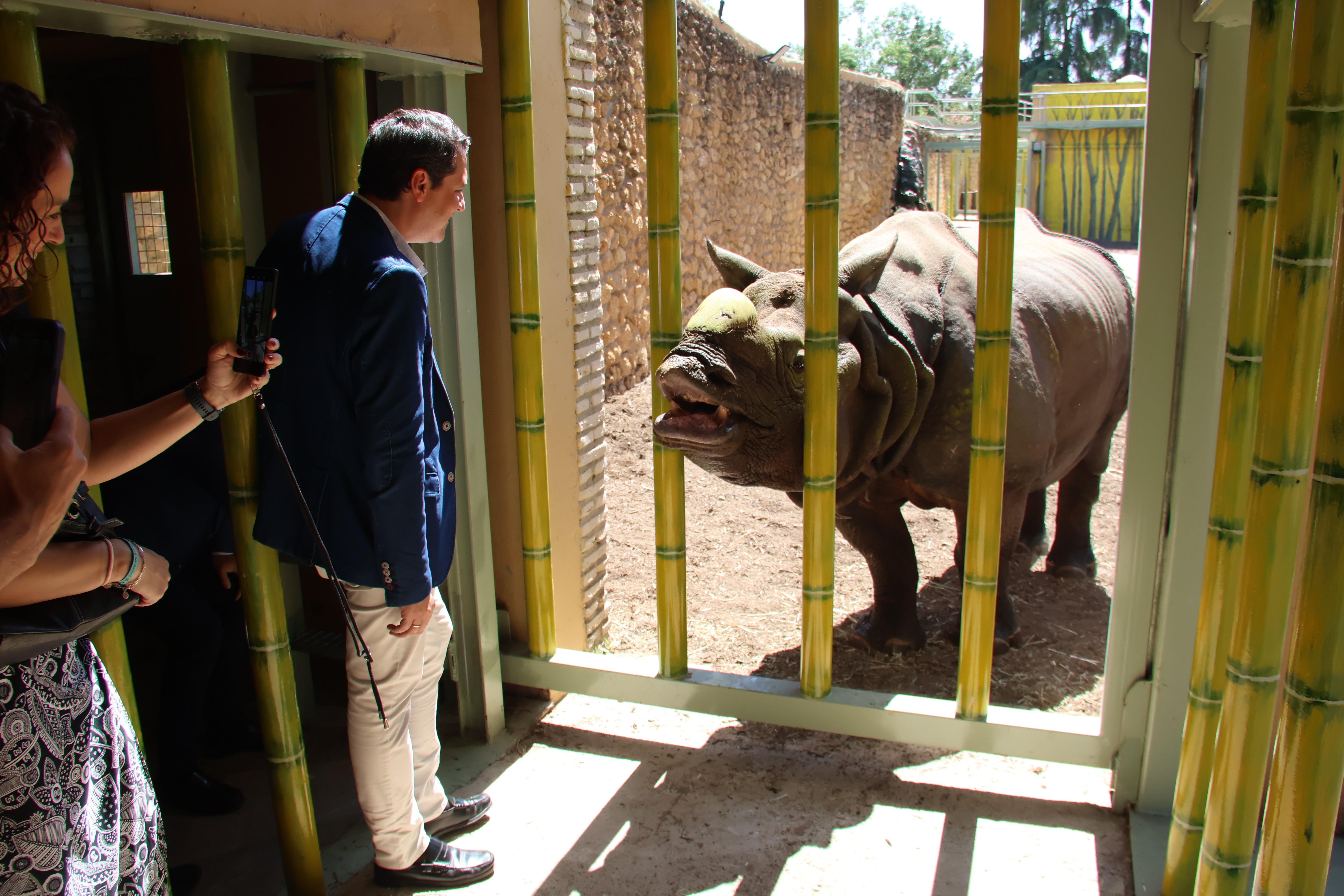 Así Es El Rinoceronte Indio Que Es La Nueva Estrella Del Zoo De Córdoba