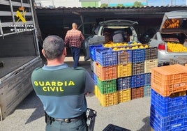 Tres operaciones coordinadas de la Guardia Civil permiten detener a los ladrones de 163.000 kilos de naranjas