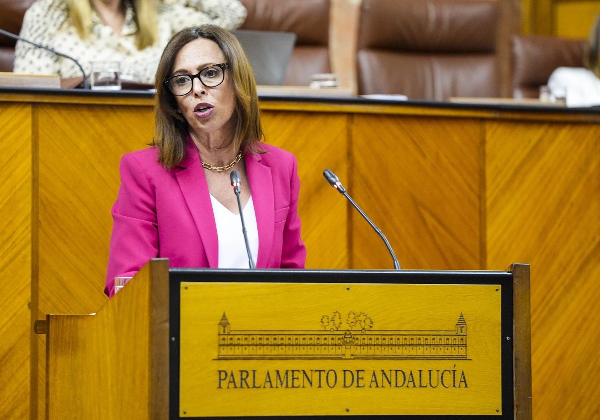 La consejera de Fomento, Rocío Díaz, este jueves en el Pleno del Parlamento