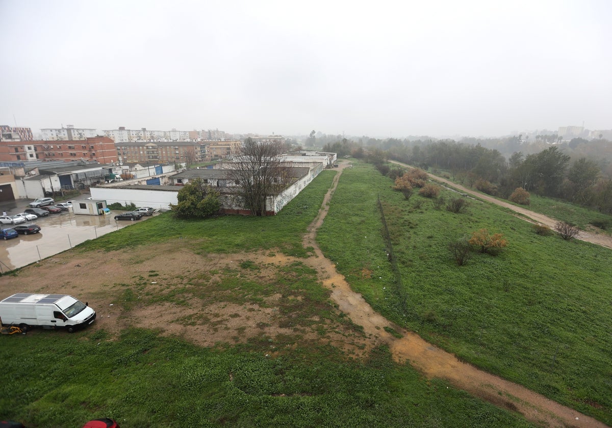 Terrenos del Cordel de Écija en la margen izquierda del río Guadalquivir