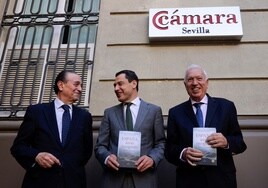 El ex ministro García-Margallo ante la Ley de Amnistía: «Estamos ante un cambio de régimen»