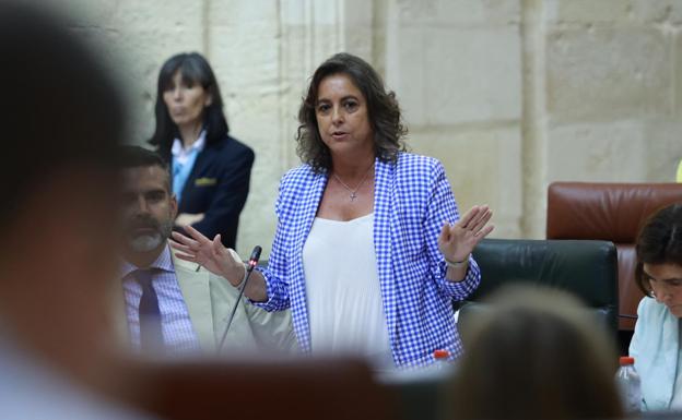 Catalina García en la sesión plenaria de este miércoles en el Parlamento