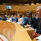 Diego Calvo y Román Rodríguez, los únicos conselleiros que seguirán como diputados