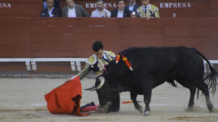 Rufo, de rodillas, imantó en la muleta a Vigoroso, el más chico