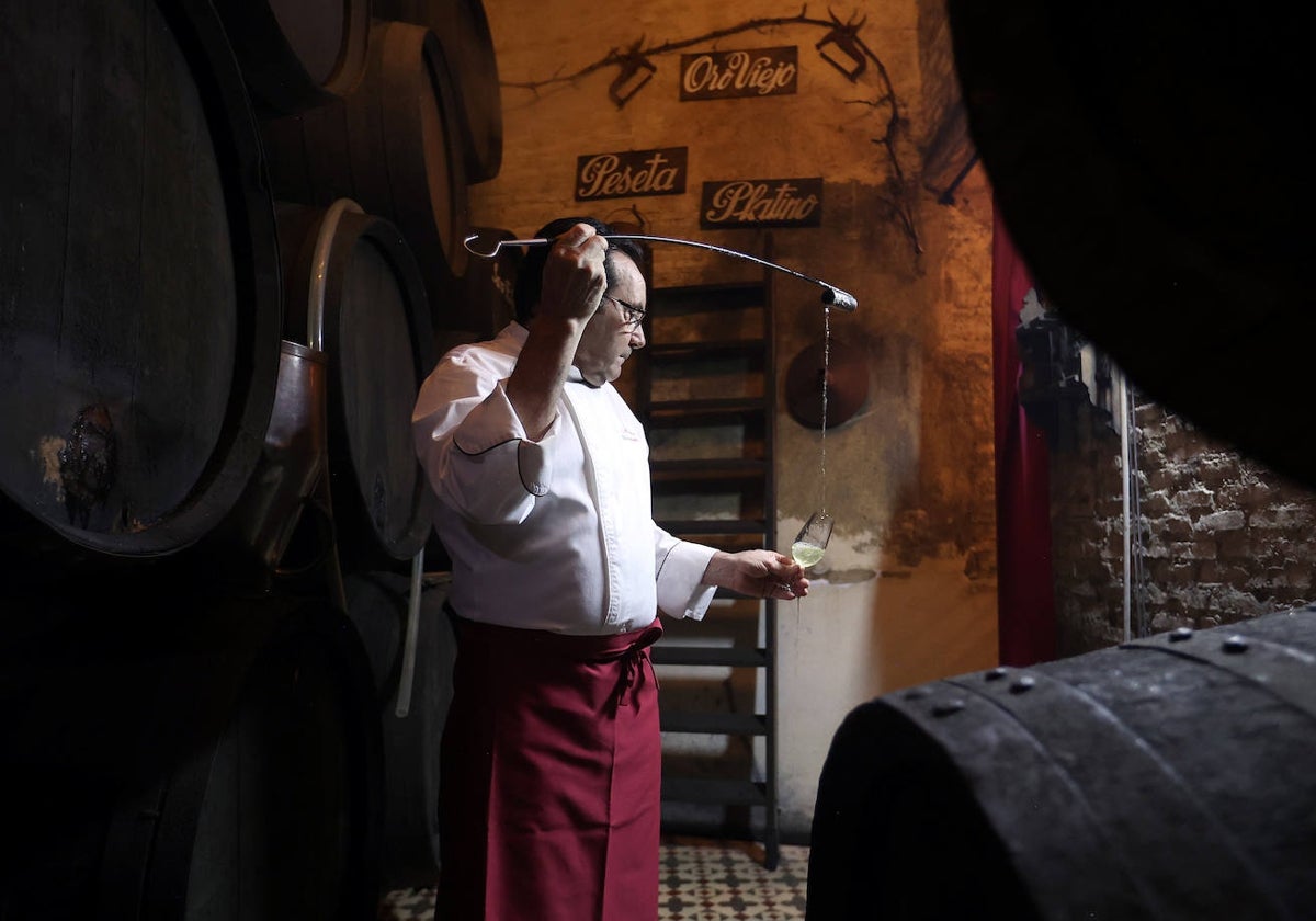 Fotos: el sabor auténtico de las tabernas más antiguas de Córdoba