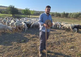 Juanjo Cañero, con sus ovejas en Montalbán