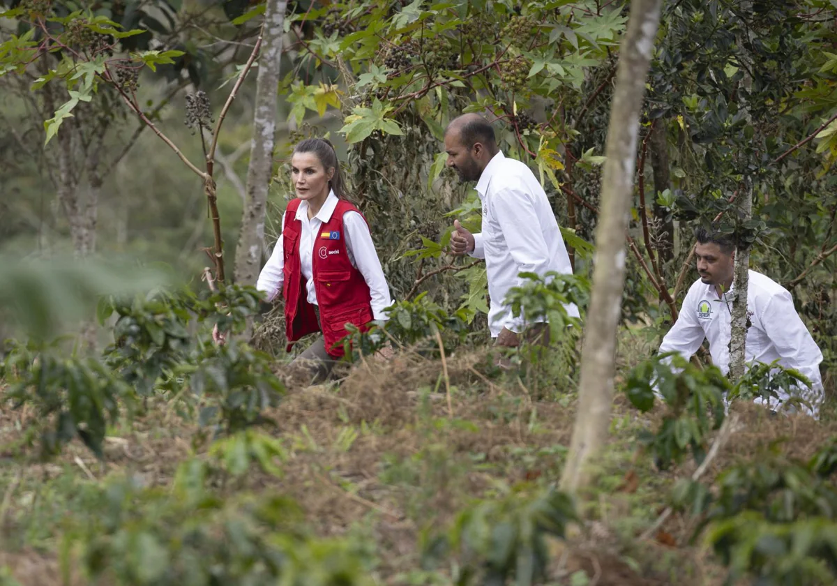 La Reina Letizia, el año pasado, en Colombia, durante su último viaje de cooperación