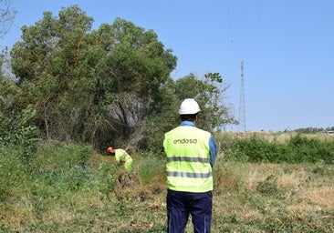 Endesa protege el entorno de las líneas eléctricas en la provincia de Córdoba a lo largo de 9.000 kilómetros