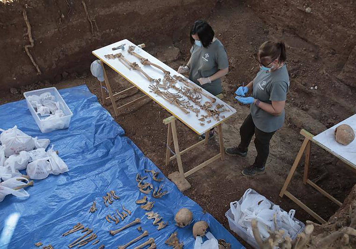 Trabajos en la fosa de Pico Reja de Sevilla