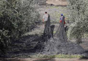 El impacto de la Unión Europea en Córdoba: claves de la realidad tras el 9J