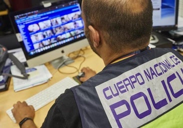 Ciberdelitos, robos de coches y ataques a la libertad sexual tiran del alza de la criminalidad