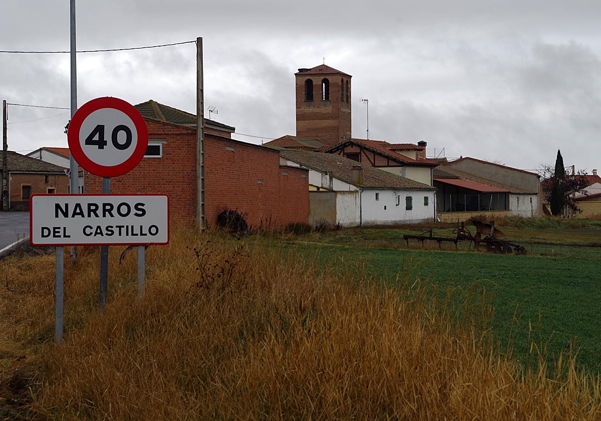 Narros del Castillo es un municipio de 153 habitantes de la provincia de Ávila