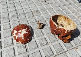 Un pescador encuentra un cráneo humano en el agua frente a la Alameda de Cádiz