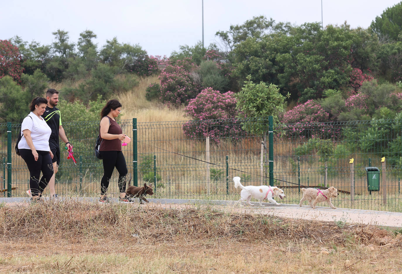 Fotos: el parque de Levante de Córdoba tras su conclusión