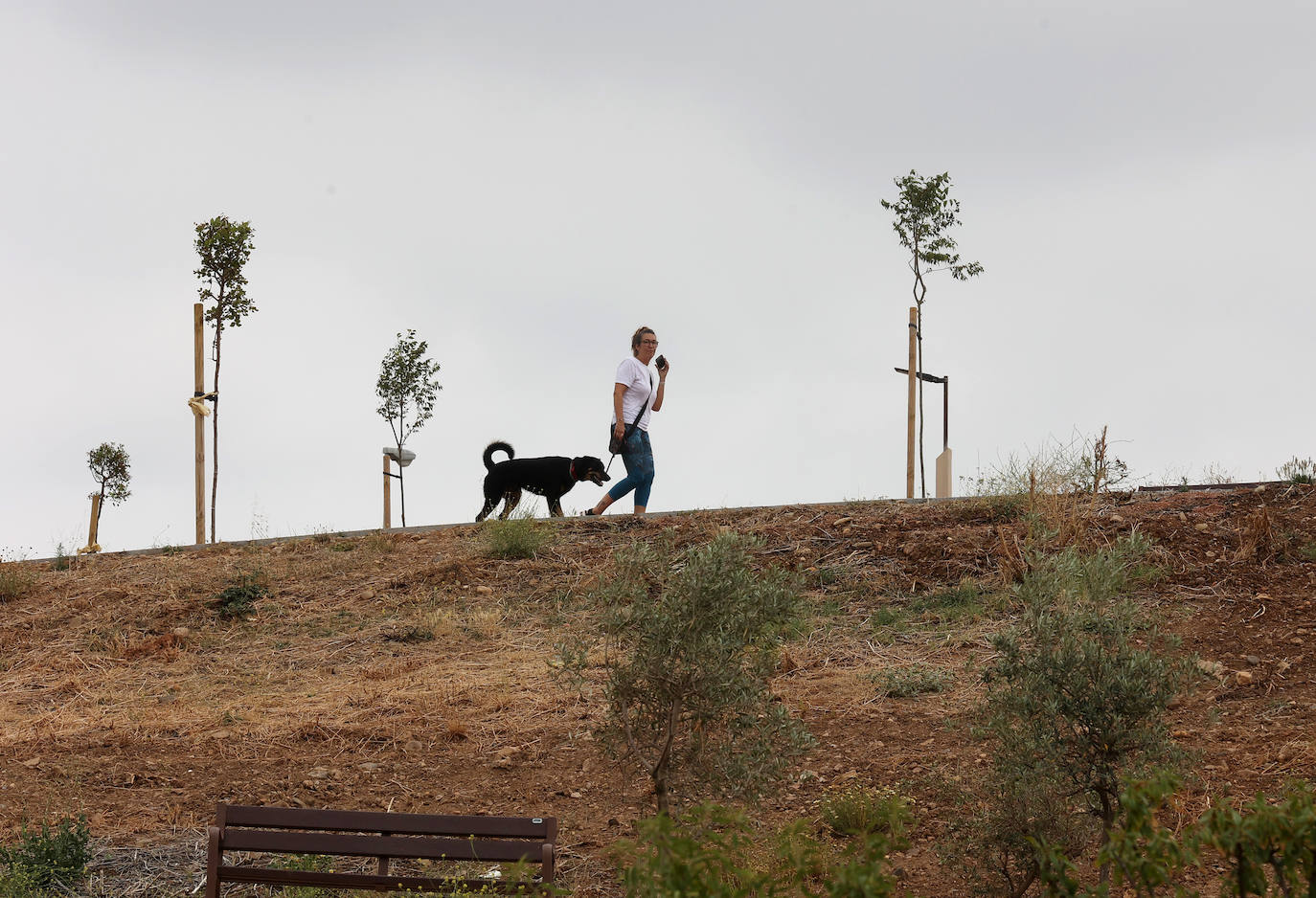 Fotos: el parque de Levante de Córdoba tras su conclusión