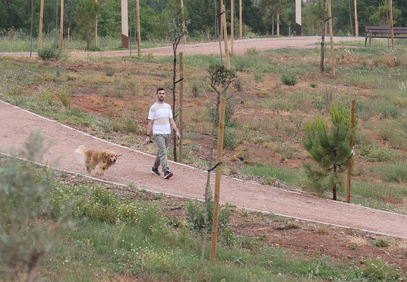Fotos: el parque de Levante de Córdoba tras su conclusión